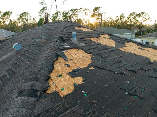 Best Sheet Metal Roofing  in Fairview, UT